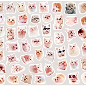 100 pezzi, adesivi per gatti, adesivi carini per gatti, fiocchi adesivi, adesivi per planner, cancelleria kawaii, album di ritagli, diario, adesivi carini, temi della natura