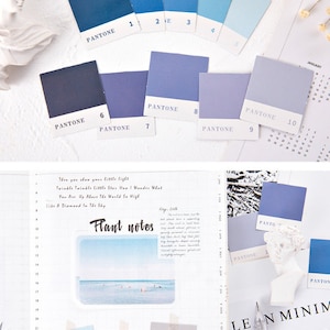 May include: A set of ten color swatches with the Pantone color name and number printed on each. The swatches are arranged in a semi-circle on a white surface. The colors range from dark blue to light gray.