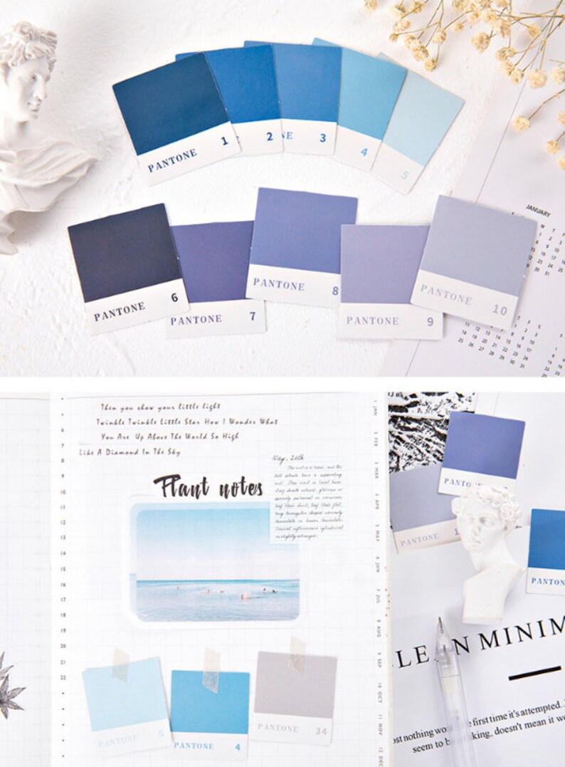 May include: A set of ten color swatches with the Pantone color name and number printed on each. The swatches are arranged in a semi-circle on a white surface. The colors range from dark blue to light gray.