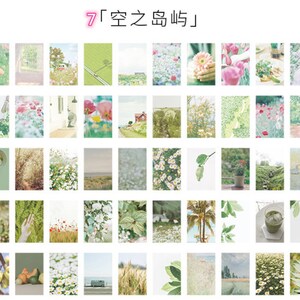 May include: A collection of 48 square images featuring various nature scenes, including flowers, plants, and landscapes. The images are arranged in a grid pattern and have a soft, vintage aesthetic.