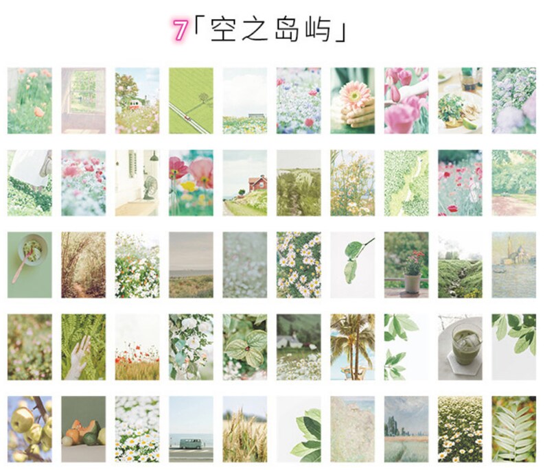 May include: A collection of 48 square images featuring various nature scenes, including flowers, plants, and landscapes. The images are arranged in a grid pattern and have a soft, vintage aesthetic.