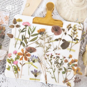 40 piezas, pegatinas de plantas, pegatinas de flores, decoración de álbumes de fotos, diarios, pegatinas de planificadores, pegatinas de álbumes de recortes, temas de naturaleza