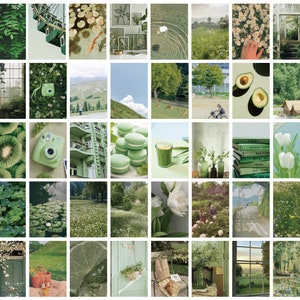 50 pezzi, adesivi per planner, adesivi per piante, decorazione per album fotografici, diario, adesivi per planner, adesivi per album, temi naturalistici