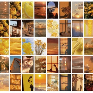 50 pezzi, adesivi per planner, adesivi solari, adesivi floreali, decorazione per album fotografici, diario, adesivi per planner, adesivi per album, temi naturalistici