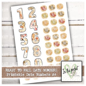 May include: Printable fall date numbers in A4 size. The numbers are decorated with autumn leaves and are perfect for adding a touch of fall to your planner or calendar.