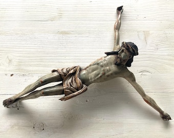 Fine south European corpus christi