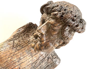 16 century oak corpus christi