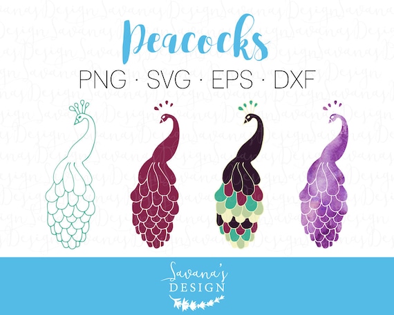 Download Peacock Svg Peacock Dxf Peacock Eps Peacock Clipart Peafowl Svg Cricut Svg Svg Files Svg Svg Cutting File Silhouette Designs By Savanasdesign Catch My Party SVG, PNG, EPS, DXF File