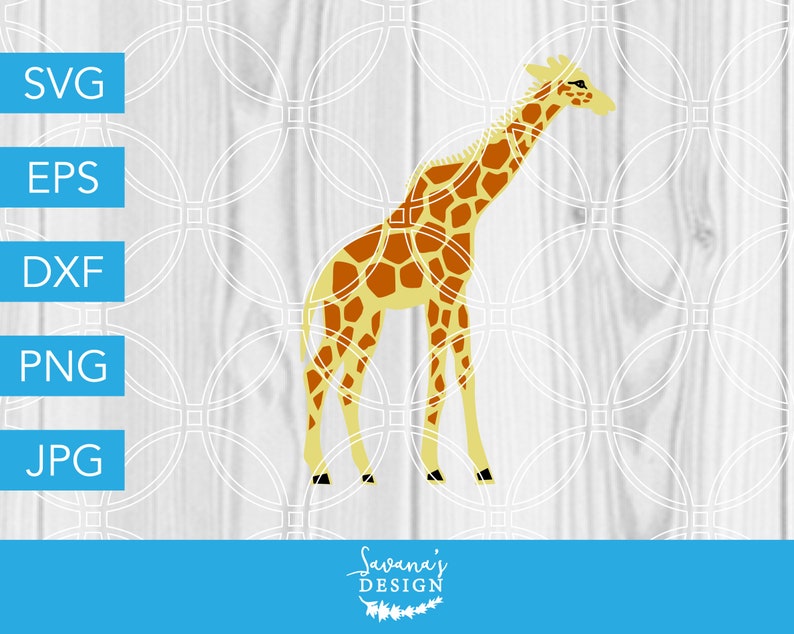 Giraffe Svg Animal Svg Zoo Svg Africa Svg Baby Svg Etsy
