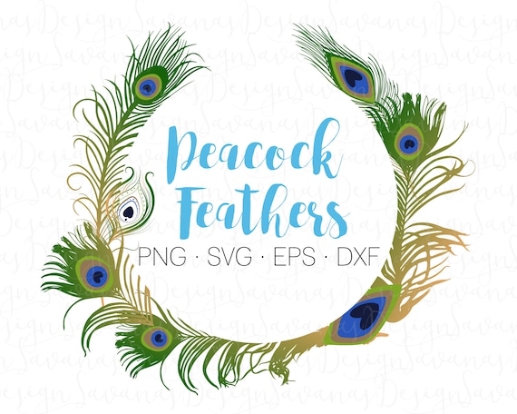 Download Peacock Feathers Svg Peafowl Feathers Peacock Svg Peacock Feather Clipart Peacock Clipart For Cricut Svg And Silhouette Cameo Dxf Eps By Savanasdesign Catch My Party