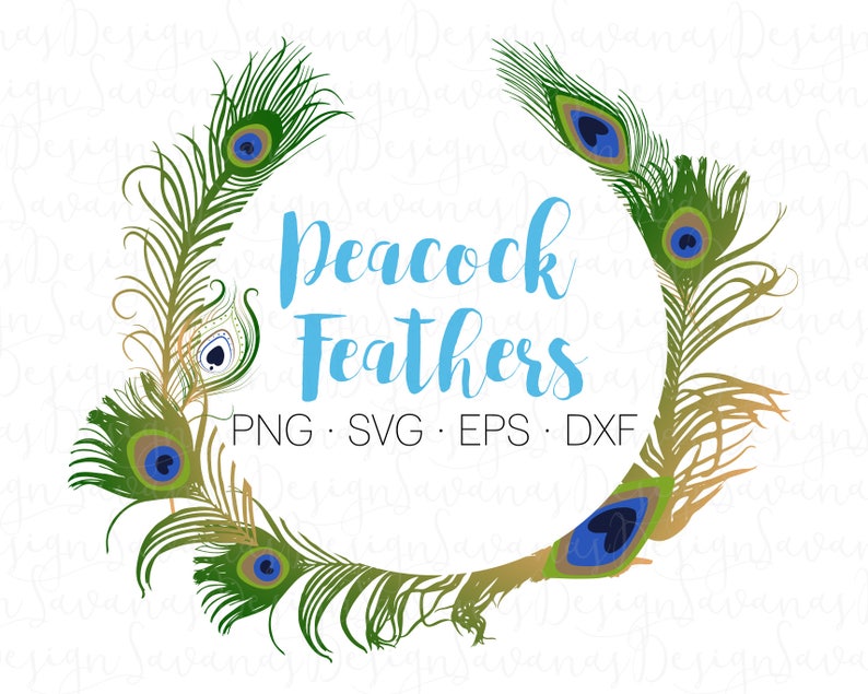 Download Peacock feathers svg peafowl feathers peacock svg peacock ...