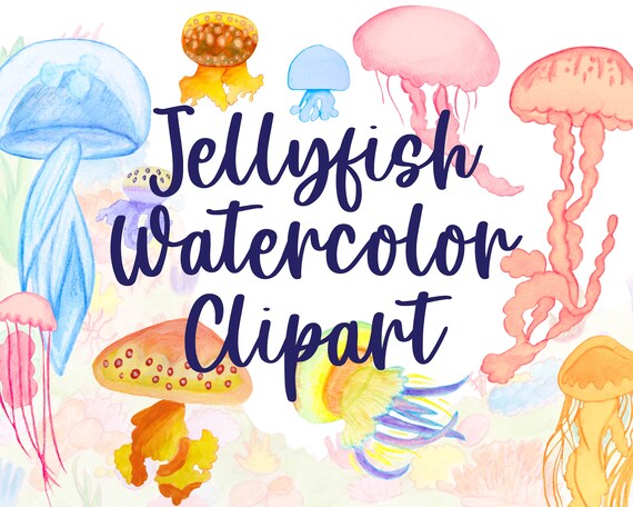 Download Watercolor Jellyfish Clipart Jelly Fish Images Watercolor Clipart Ocean Design Sea Creature Marine Life Instant Download Png Clip Art By Savanasdesign Catch My Party
