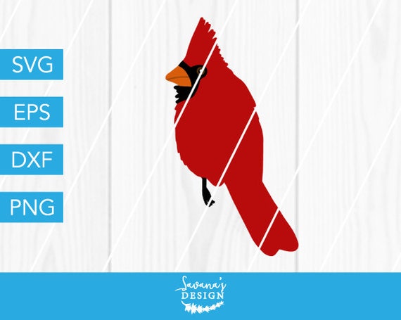Bird Svg Red Cardinal Svg Northern Cardinal Bird Cut File Redbird Fowl Graphic Songbird Design Bird With Feathers Svg Files For Cricut By Savanasdesign Catch My Party Bird Svg Red Cardinal Svg Northern Cardinal Bird Cut File Redbird Fowl Graphic Songbird Design Bird With Feathers Svg Files For Cricut By Savanasdesign Catch My Party