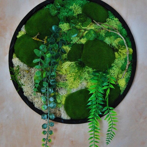 Preserved Trailing Plant Etsy