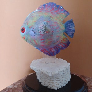 GOURD AQUARIUM FISH