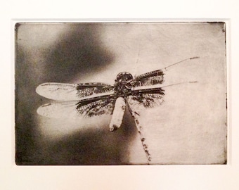 Libellule - Etching polymer gravure