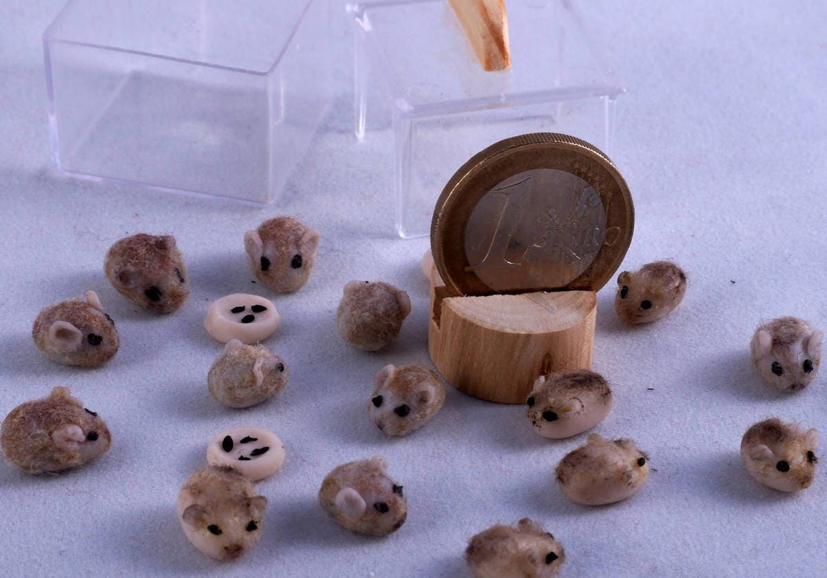I wanna make my hampter a lil plate, but is it okay to use this clay? :  r/hamster