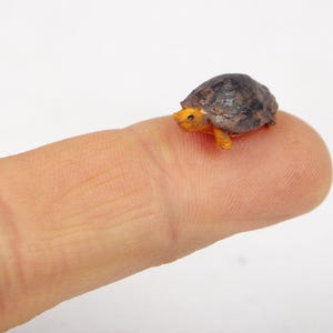 Turtle in Terrarium, realistic sculpture Pets Animals, Dollhouse Miniatures, Tiny tortoise, decor accessories dolls miniature 1:12