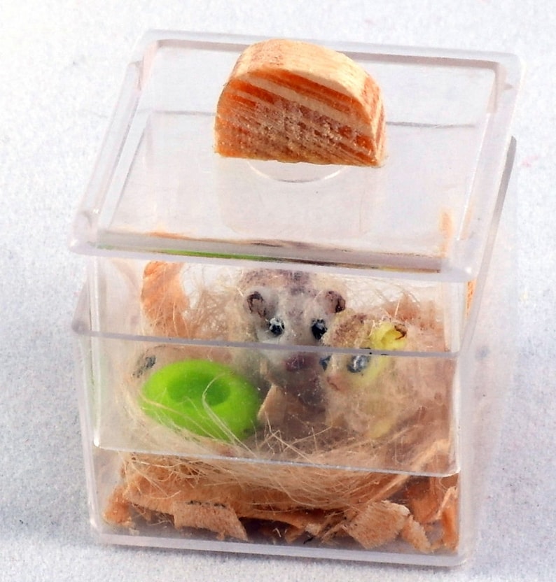 Hamster Terrarium realistic sculpture Mice Pets Animals Dollhouse Miniatures, Tiny Mouse Family, decor accessories dolls miniature 1:12 hamster in terrarium