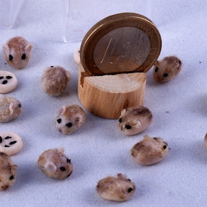 Hamster Terrarium realistic sculpture Mice Pets Animals Dollhouse Miniatures, Tiny Mouse Family, decor accessories dolls miniature 1:12 image 9