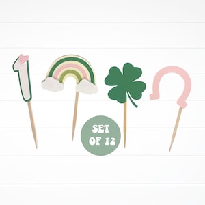 Pink Saint Patrick&#39;s Day 1st birthday party decorations, Saint patrick&#39;s Day cupcake toppers, Shamrock birthday decor, Lucky one party decor