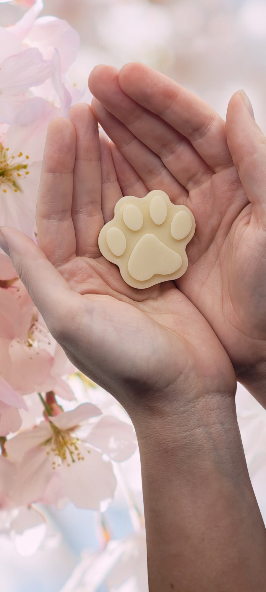 Handmade Lotion Bar Beeswax, Shea Butter, & Avocado Oil Made for You