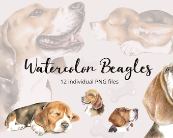 12 digital downloads of cute beagle dog portraits. Beagle watercolor painting printable file. Dog Bundle, Pet Portrait, Dog clipart