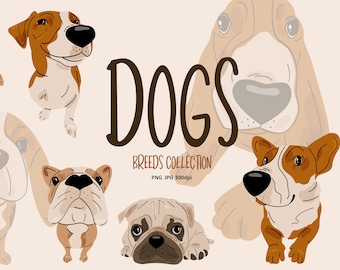 Dog Clipart Set - Hand Drawn Dog Breeds - Digital PNG - Cute Animals Pets - French Bulldog, Dachshund, Beagle, Corgi, Pug, Jack Russell