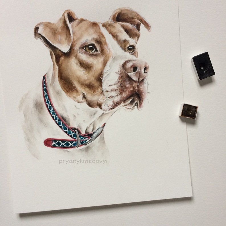 Dog Portrait from Photo. Custom Pet Portrait. Dog Artwork image 10