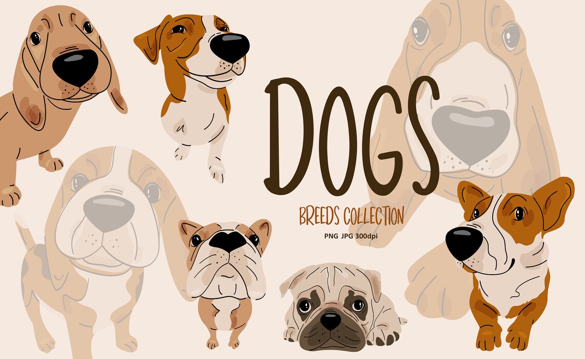 Dog Clipart Set - Hand Drawn Dog Breeds - Digital PNG - Cute Animals ...
