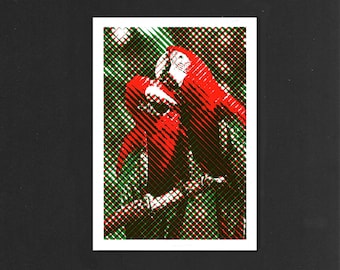 Parrot | Riso print