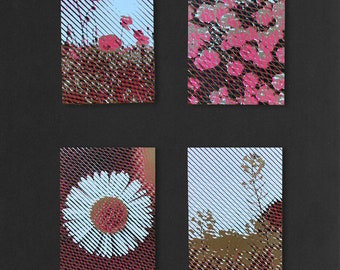 Flower postcards | Risoprint