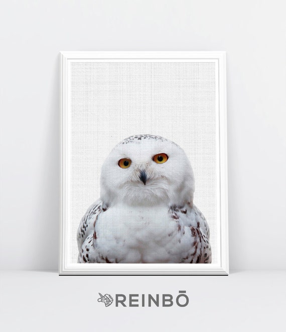 Snowy Owl Wildlife Large Wall Art Poster Print