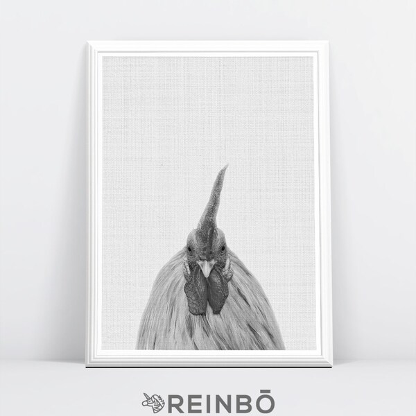 Chicken Photography, Chicken Print, Rooster, Farm Animal, Black and White Decor, Kitchen Wall Art, Nursery Grey and Whtie, Instant Download