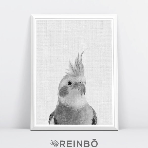 Cockatiel Print, Black and White, Australian Bird, Animal Wall Art, Printable Digital Download, Large Poster, Modern Minimalist, Animal Art