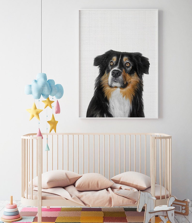Dog Print Australian Shepherd Print Pet Wall Art