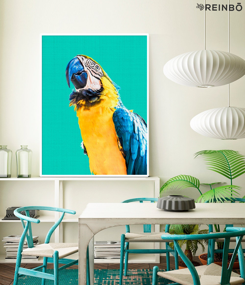 Parrot Wall Art Tropical Bird Print Bird Photography Macaw Etsy UK