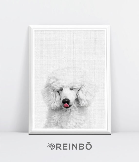 Dog Nursery Print Baby Wall Art Dog Lover Gift Nursery Dog Etsy