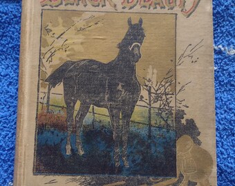 Vintage RARE Black Beauty De Wolfe Fiske and Co HB Book