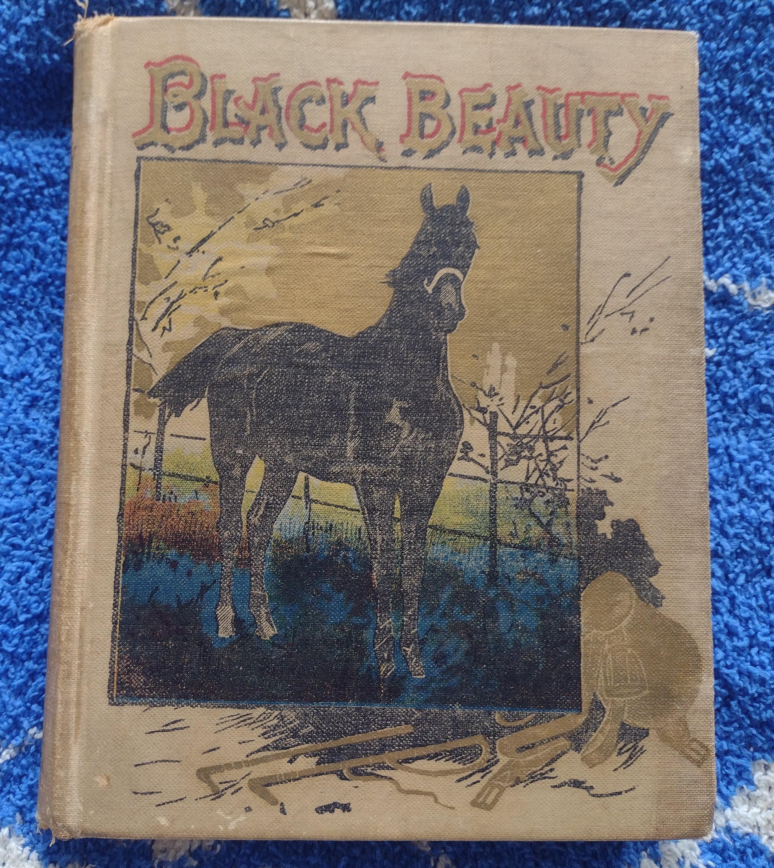 Vintage RARE Black Beauty De Wolfe Fiske and Co HB Book