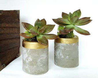2 Mini Concrete Planter