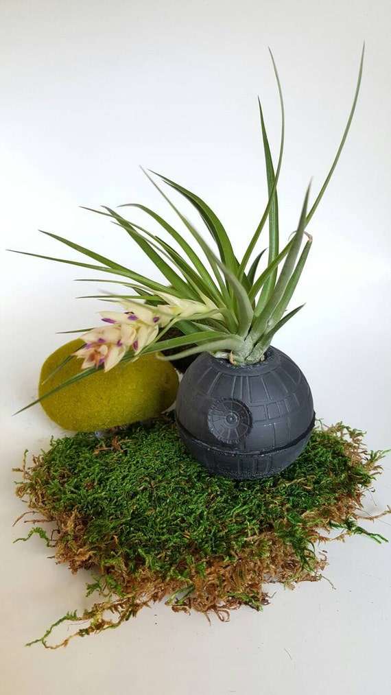 star wars planter