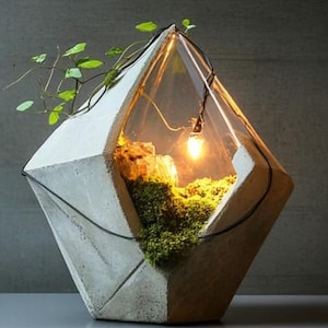 Large concrete Sculpture, Terrarium inspired, Contemporary art, Moss art, Modern Decor, Statement Piece for Home, Office, Hotel