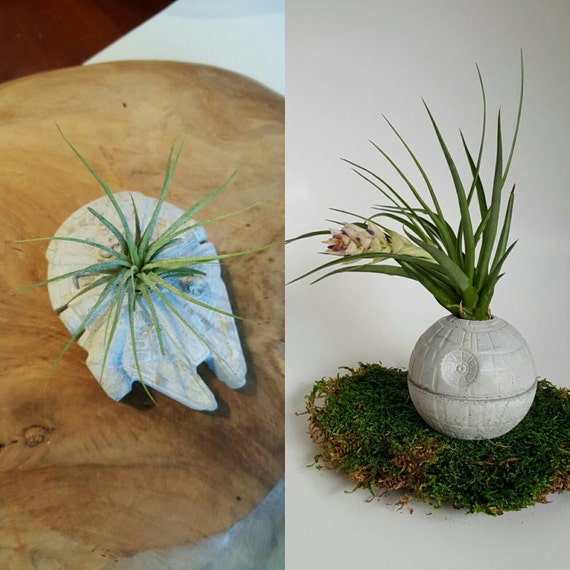 star wars planter