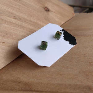 Terrarium Stud Earrings,Moss terrarium, Resin Moss Earrings, Real Moss Earrings,  Natural Moss, Forest jewelry, Moss Jewelry, Moss in Resin