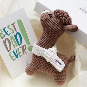 May include: A brown crocheted llama toy wearing a white crocheted scarf. The llama is in a white gift box with a card that says "Best Dad Ever!"