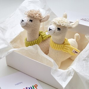 Meilleurs amis pour toujours Crochet llama alpaga jouet Cadeaux d&#39;amitié Anniversaire de meilleur ami Ami s&#39;en aller Fermer cadeau Véritable ensemble d&#39;amitié 26/07