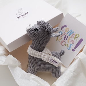 Pregnancy gift box Expecting New mommy set Newly Mama to be package Best Newborn basket present idea Expectant Funny friend pregnancy favor