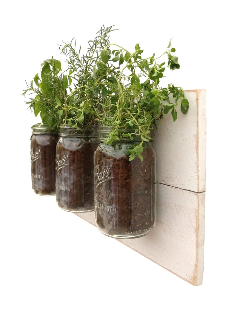 White Mason Jar Planter garden herb hanging indoor jars Etsy