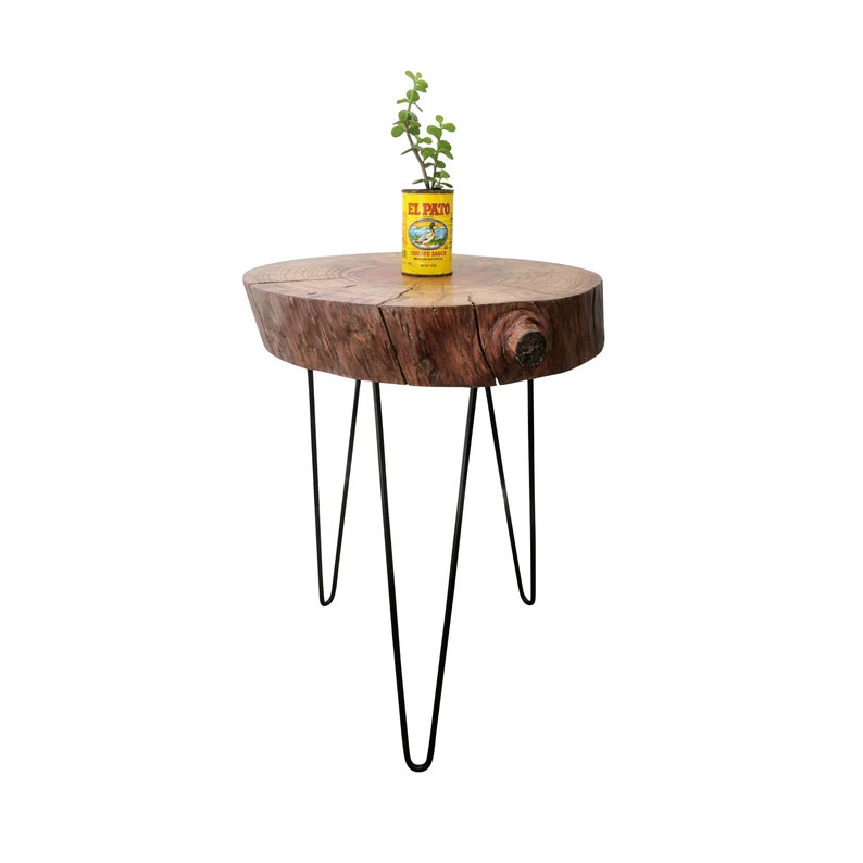 Tree Log Side Table Branch Decor End Live Edge Image 0